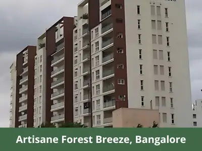Artisane forest Breeze new