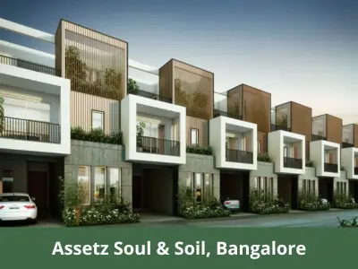 Assetz soul & soil