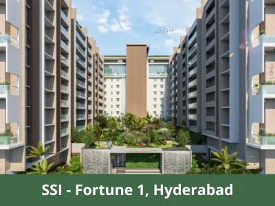 SSI - Fortune 1